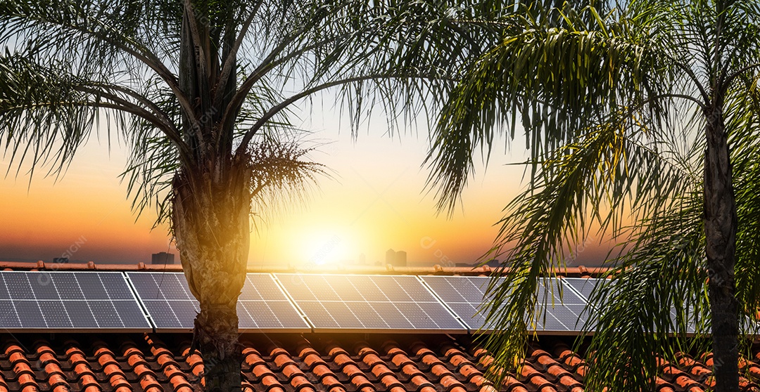 Planta de instalação fotovoltaica em casa com folhas e flores