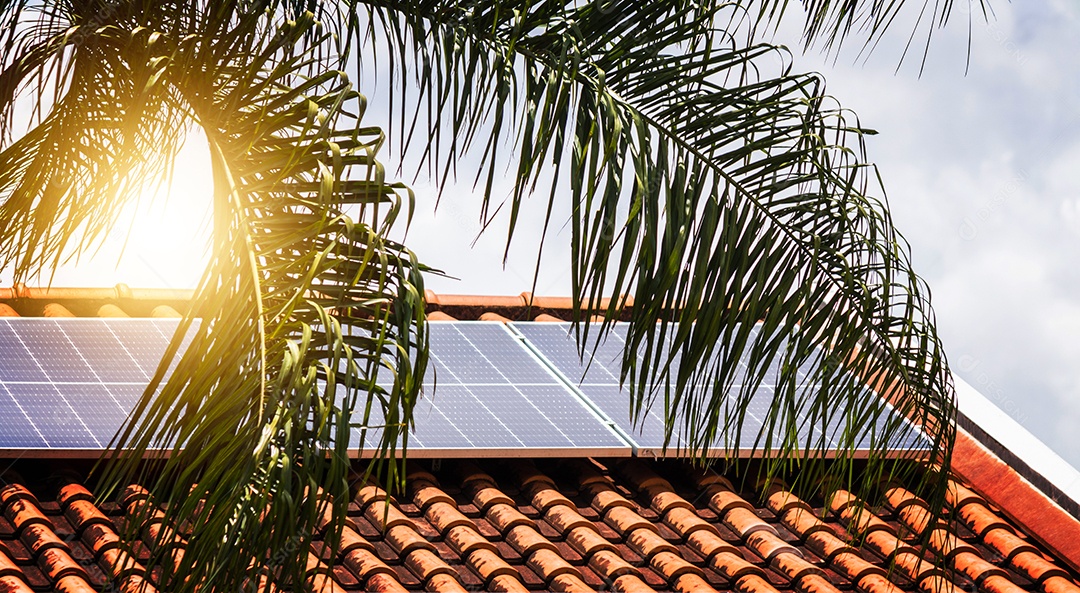 Planta de instalação fotovoltaica em casa com folhas e flores