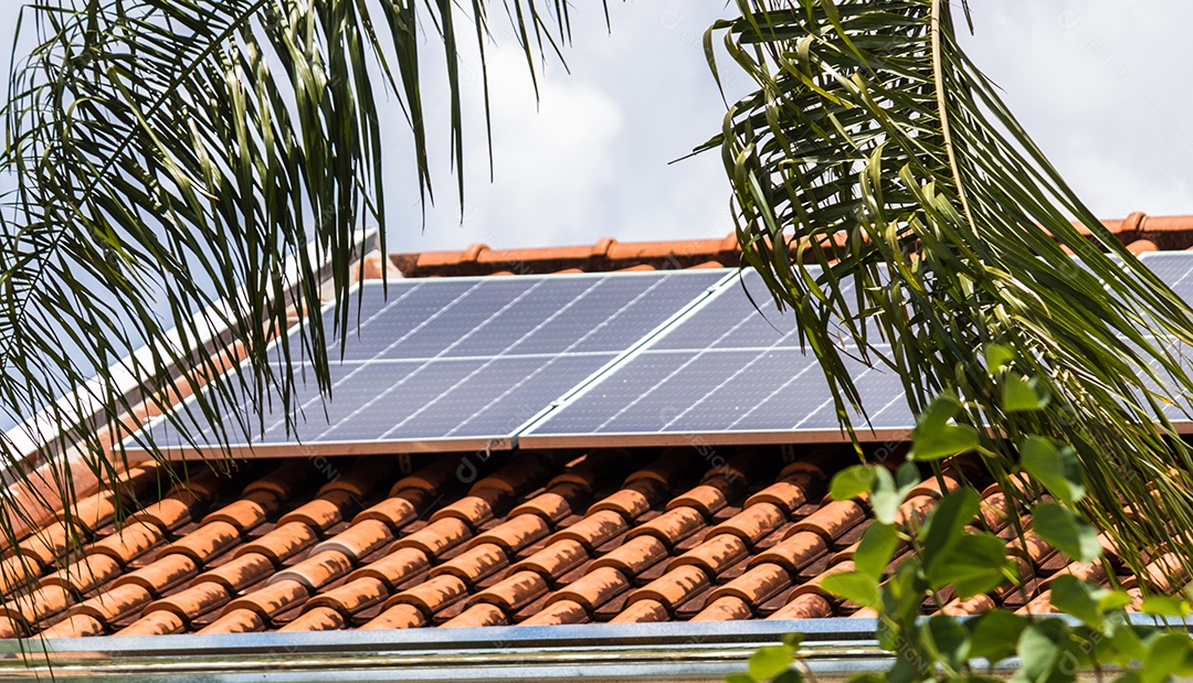 Planta de instalação fotovoltaica em casa com folhas e flores
