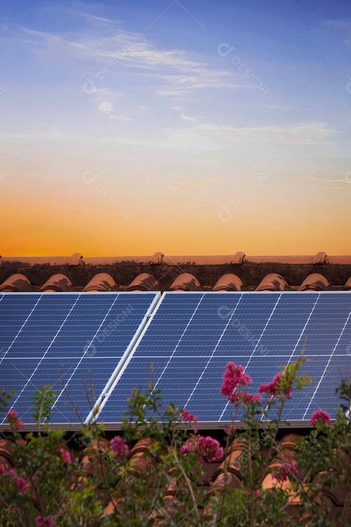Planta de instalação fotovoltaica em casa com folhas e flores