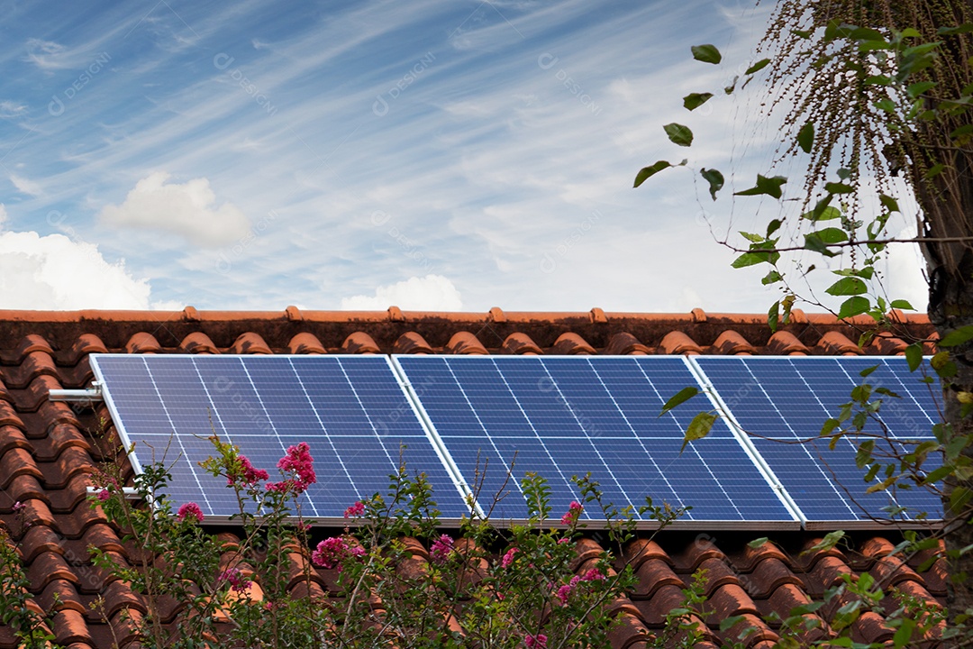 Planta de instalação fotovoltaica em casa com folhas e flores