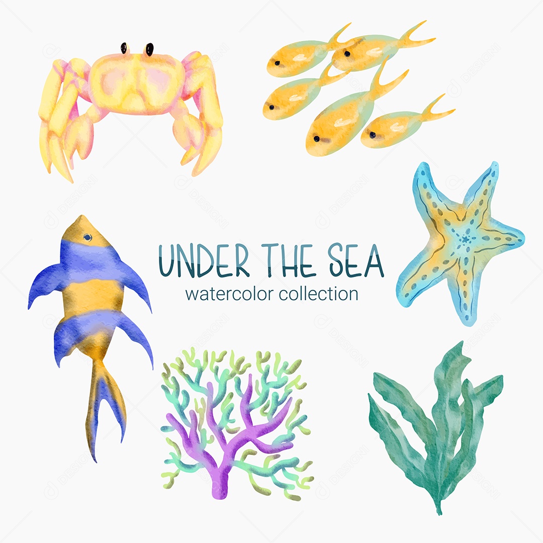 Coleção de Plantas e Animais Marinhos Vetor EPS