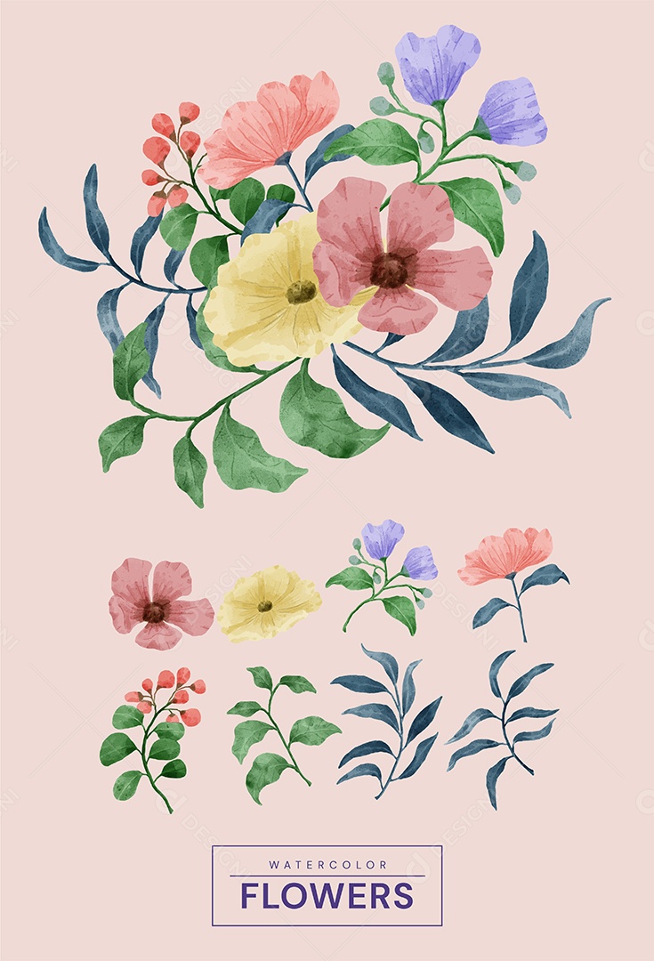 Set of Painted Flowers to Accompany Various Greeting Cards Vector Drawing EPS