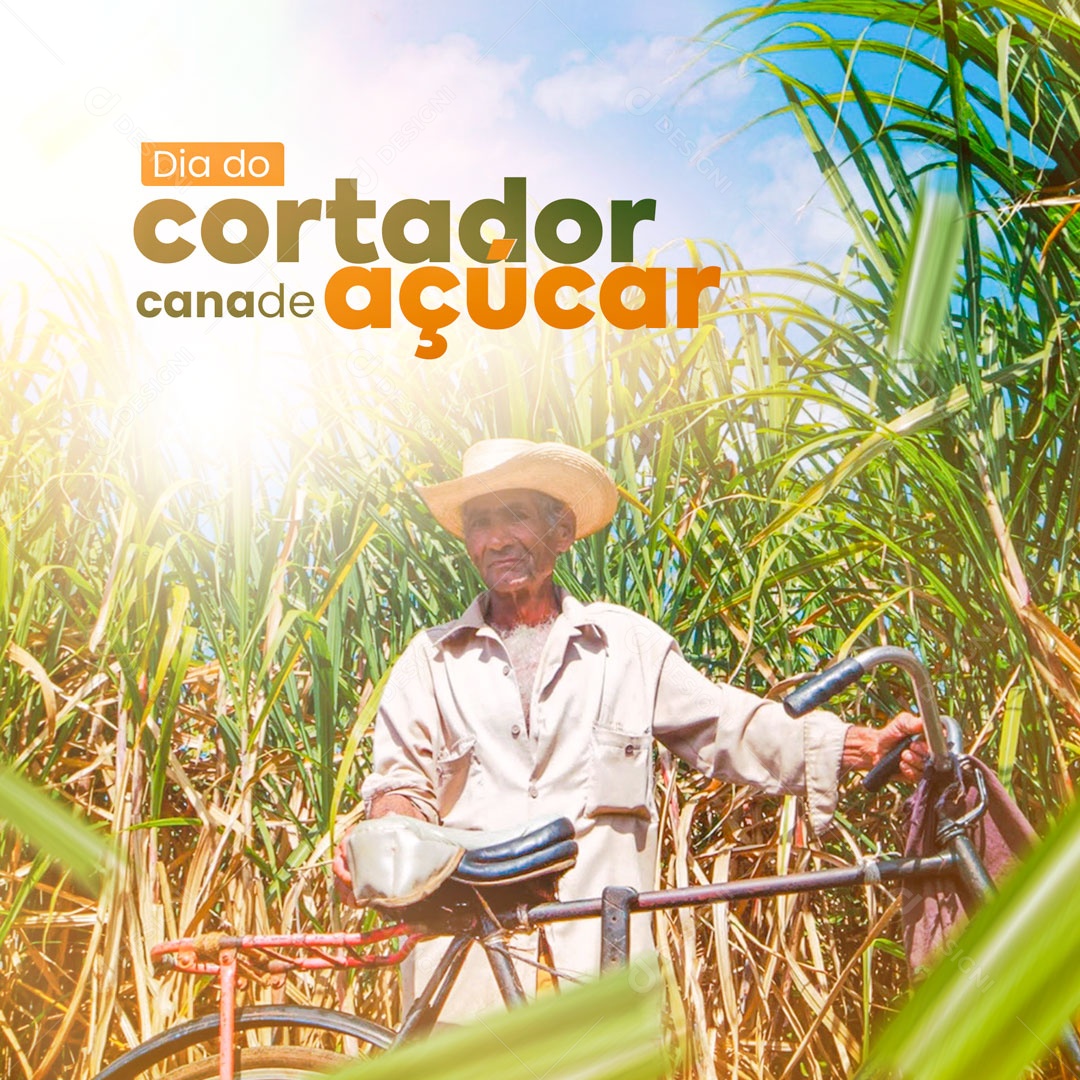 Dia do Cortador de Cana de Açúcar 16 de Janeiro Social Media PSD Editável