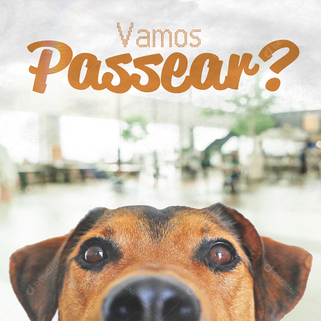 Vamos Passear Social Media PSD Editável