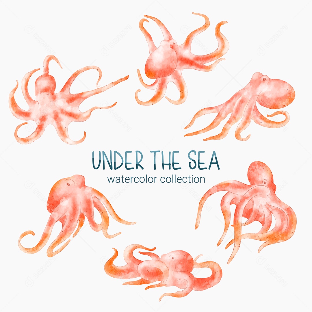 Conjunto de Polvos Marinho em Desenhos Animados Vetores EPS Editável