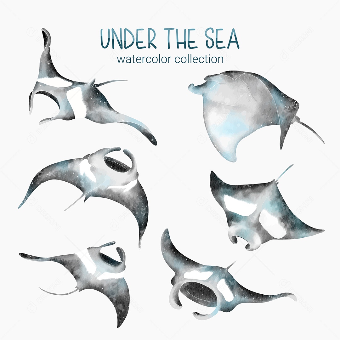 Conjunto de Araias Marinha em Desenhos Animados Vetores EPS Editável