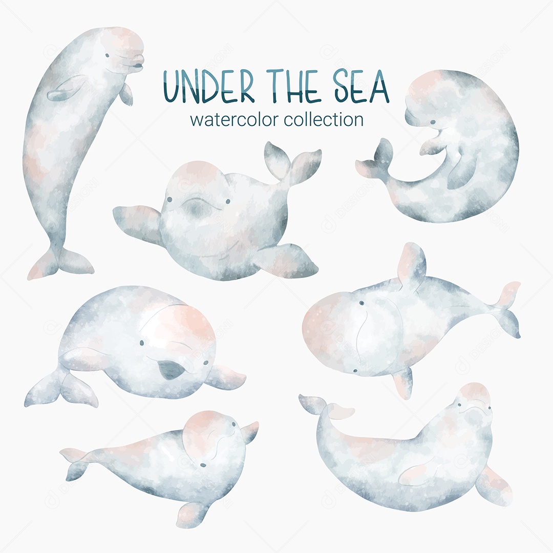 Conjunto de Golfinhos Marinhos em Desenhos Animados Vetores EPS Editável