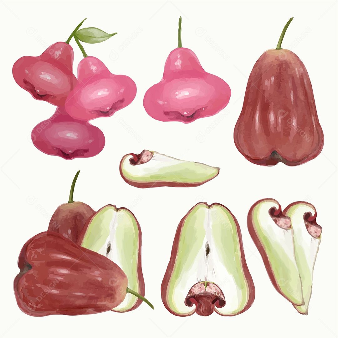 Pintura isolada de frutas de maçã rosa Vetores EPS Editável