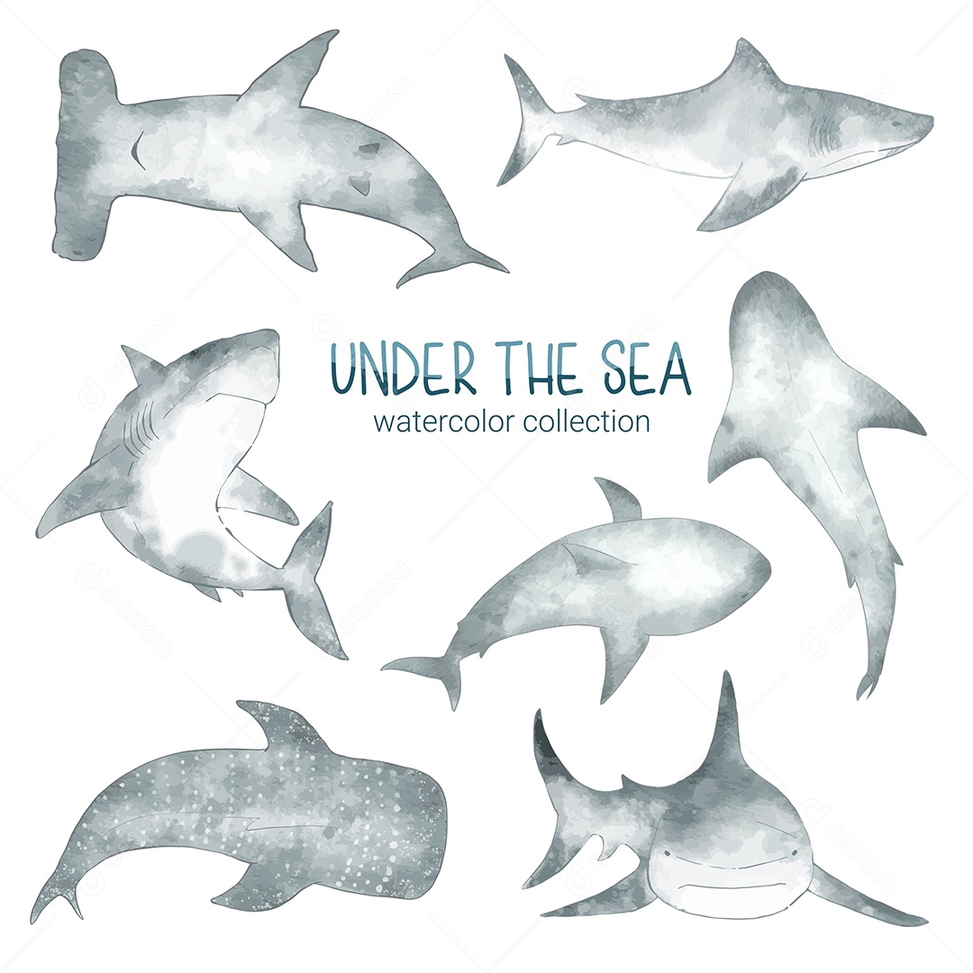 Conjunto de Animais Marinhos em Desenhos Animados Vetores EPS Editável