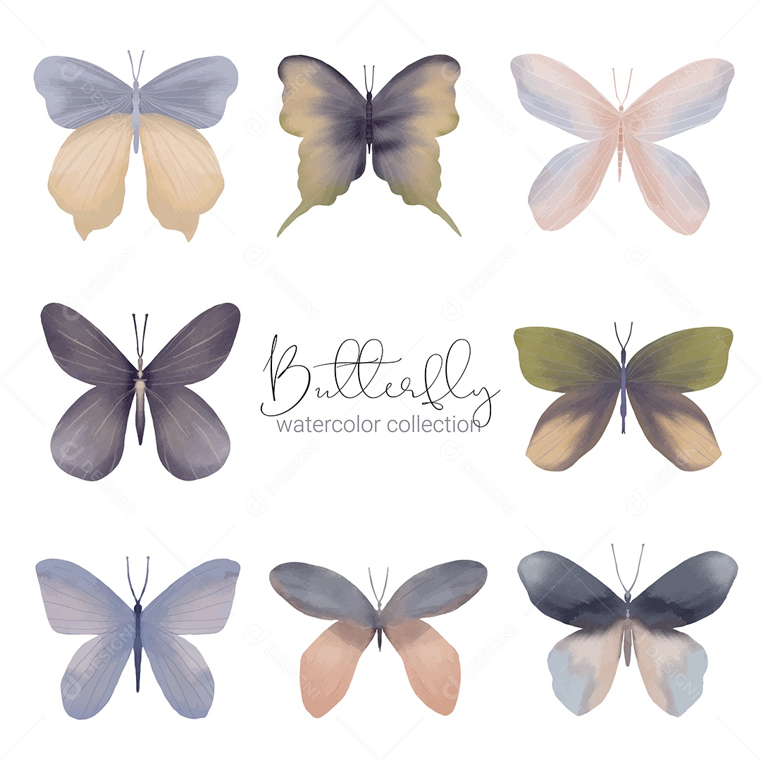 Insects Butterflies Exotic Vectors EPS