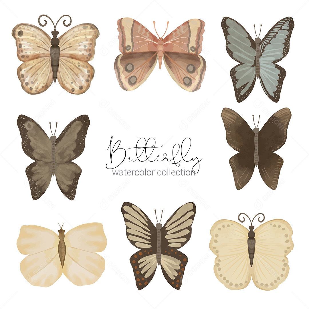 Insetos Borboletas Exótica Vetores EPS