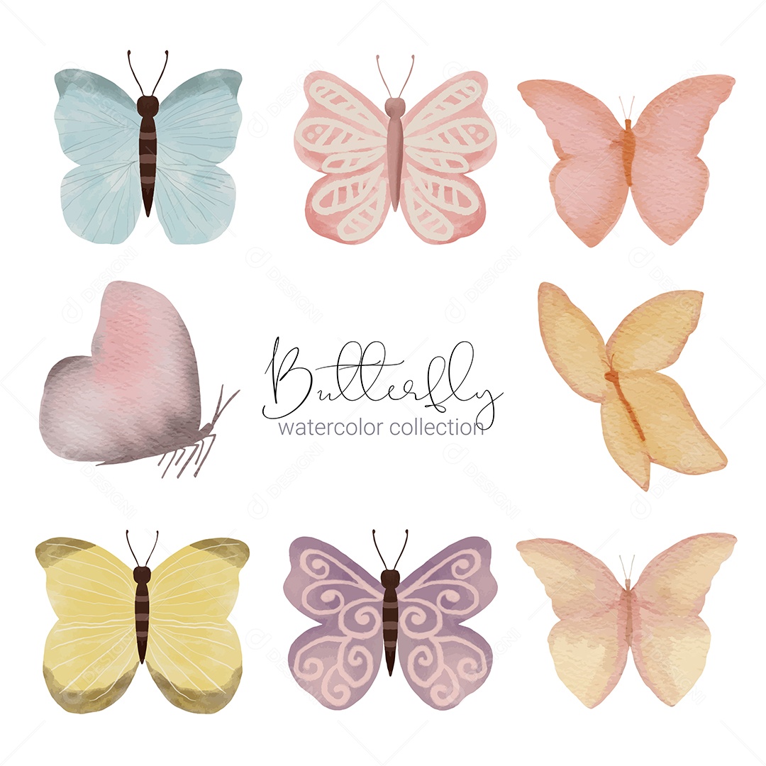 Insetos Borboletas Exótica Vetores EPS