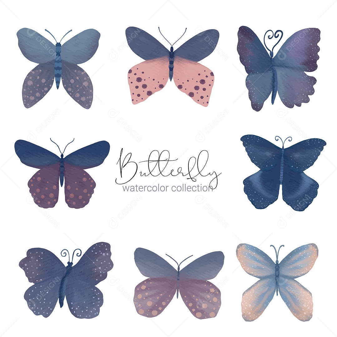 Insetos Borboletas Exótica Vetores EPS