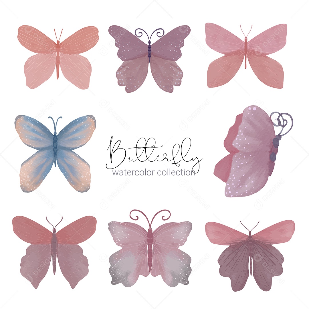 Insetos Borboletas Exótica Vetores EPS