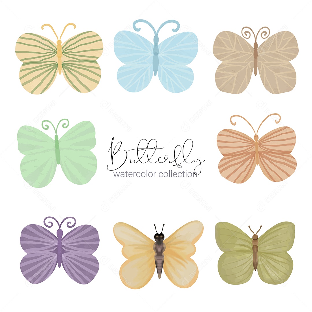 Insetos Borboletas Exótica Vetores EPS