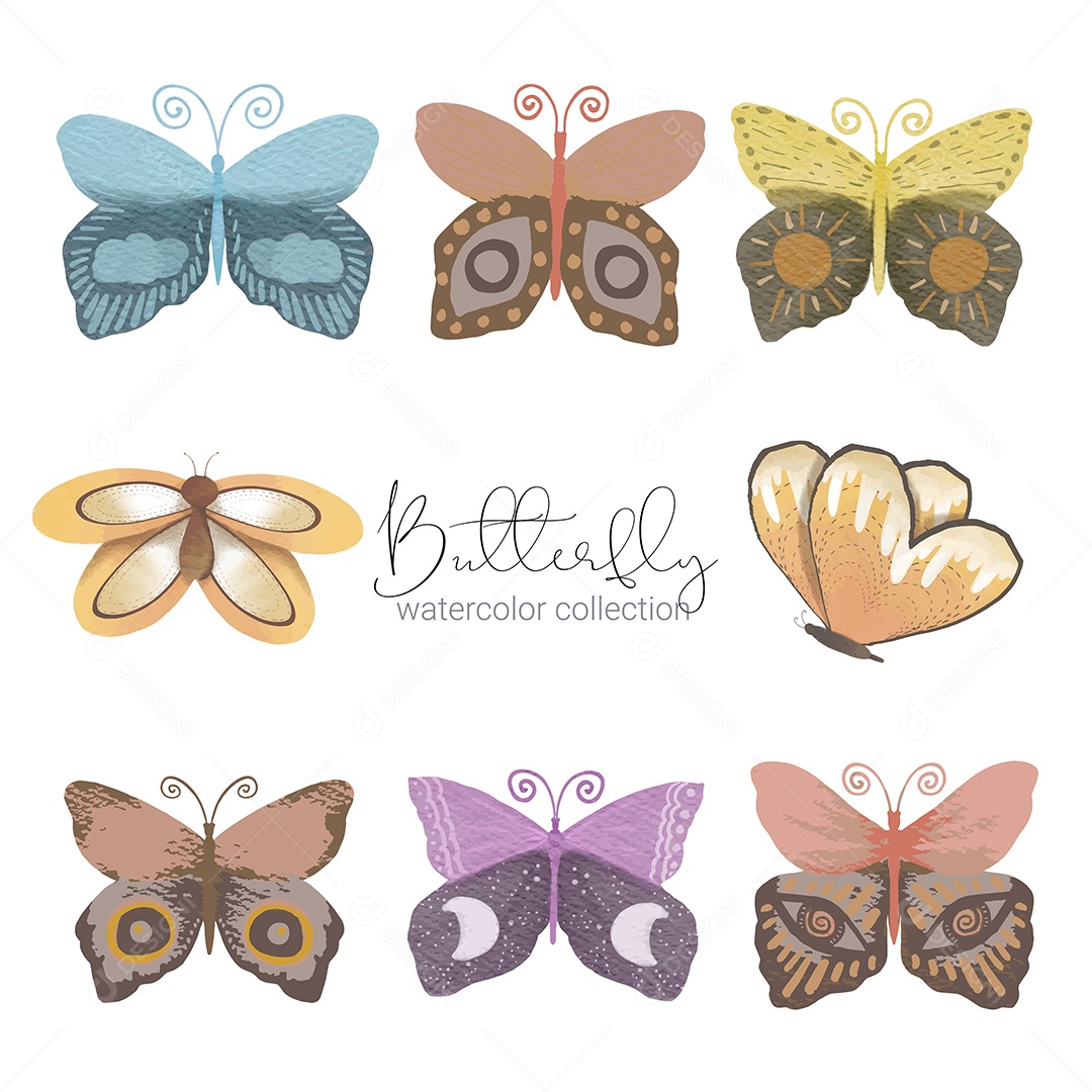 Inseto Selvagem Borboleta Exótica Vetores EPS