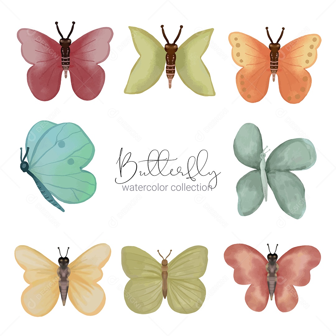 Inseto Selvagem Borboleta Exótica Vetores EPS