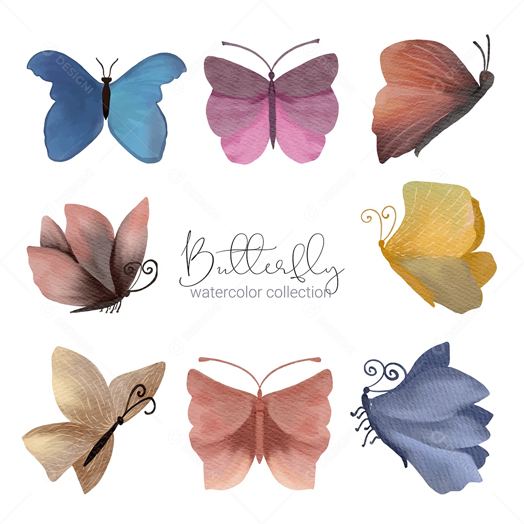 Inseto Selvagem Borboleta Exótica Vetores EPS