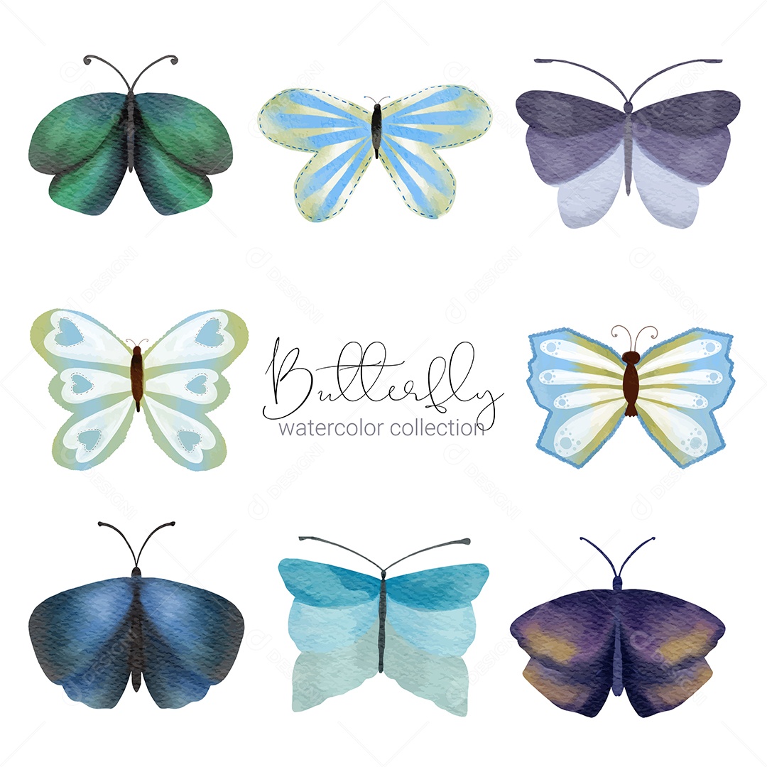 Inseto Selvagem Borboleta Exótica Vetores EPS