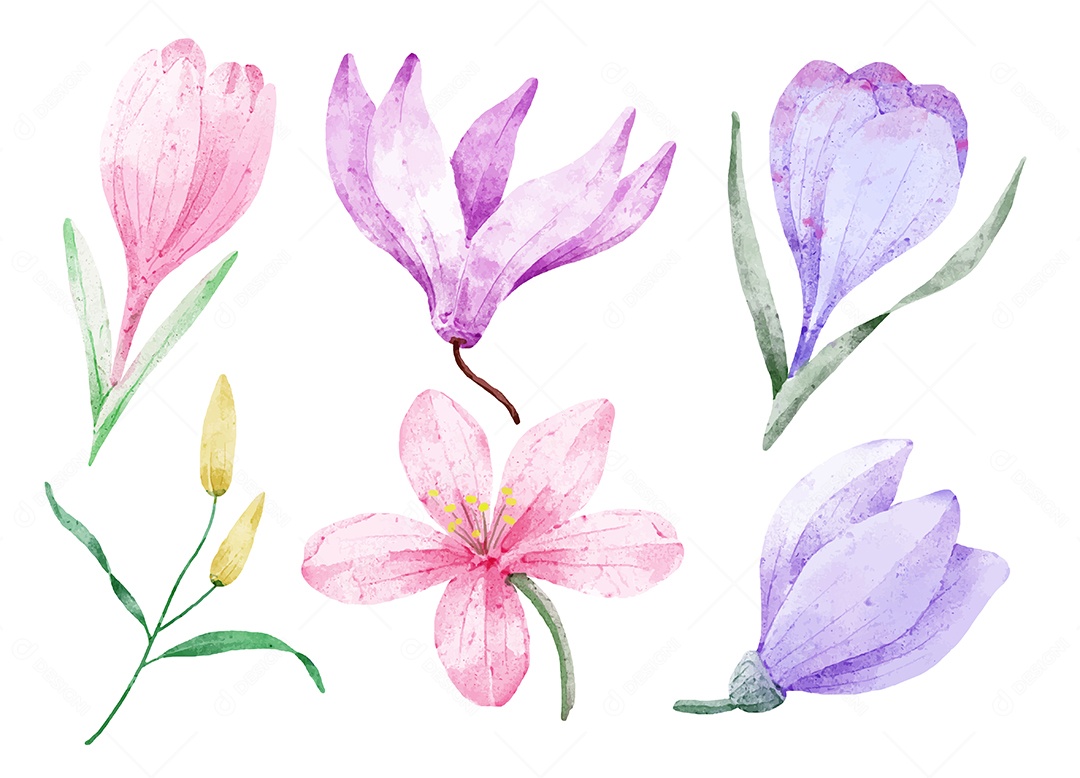 Lindas Flores para Buquê de Flores Vetores EPS Editável