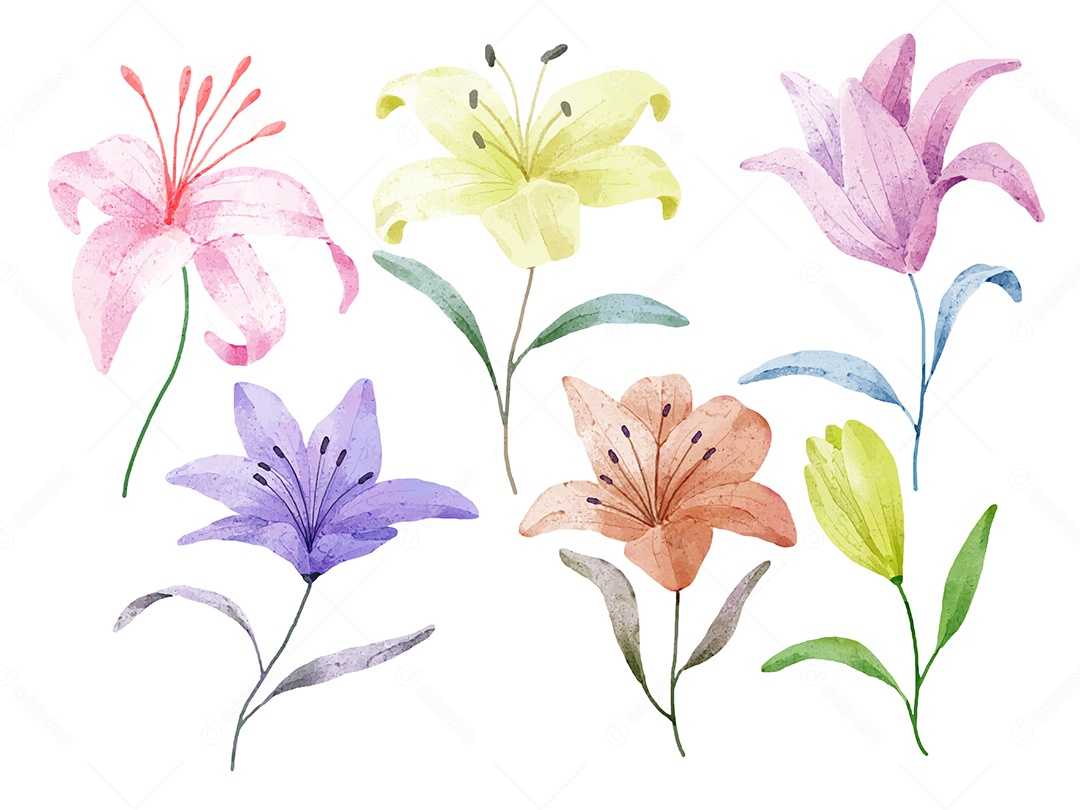 Lindas Flores para Buquê de Flores Vetores EPS Editável