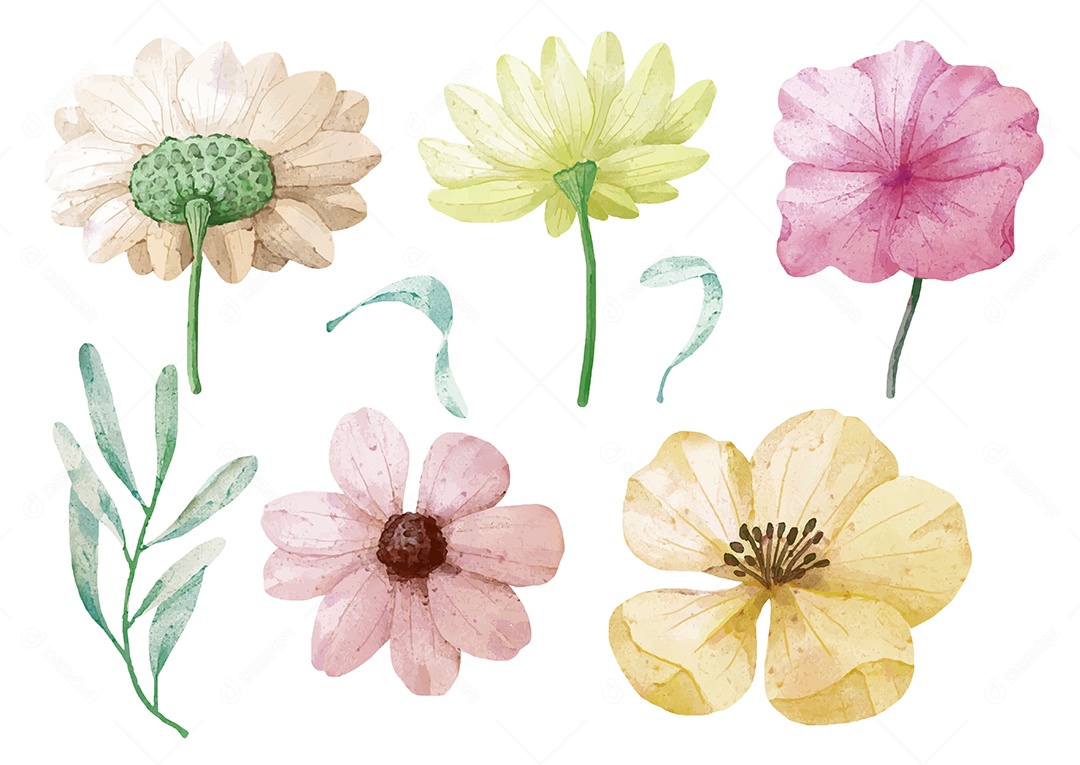 Lindas Flores para Buquê de Flores Vetores EPS Editável