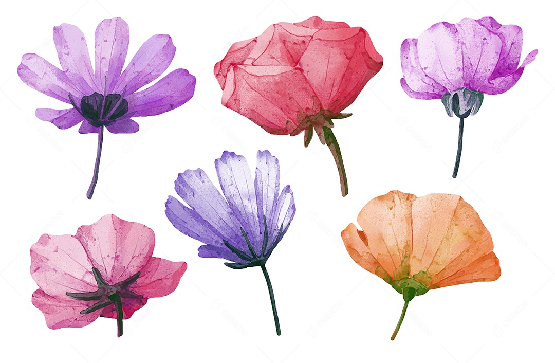 Lindas Flores para Buquê de Flores Vetores EPS Editável