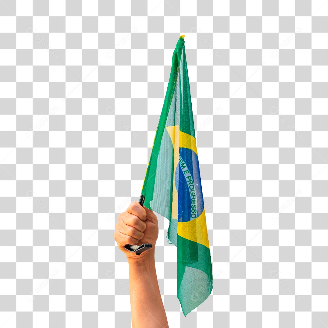 Segurando a Bandeira do Brasil Dia da Independência do Brasil PNG Transparente