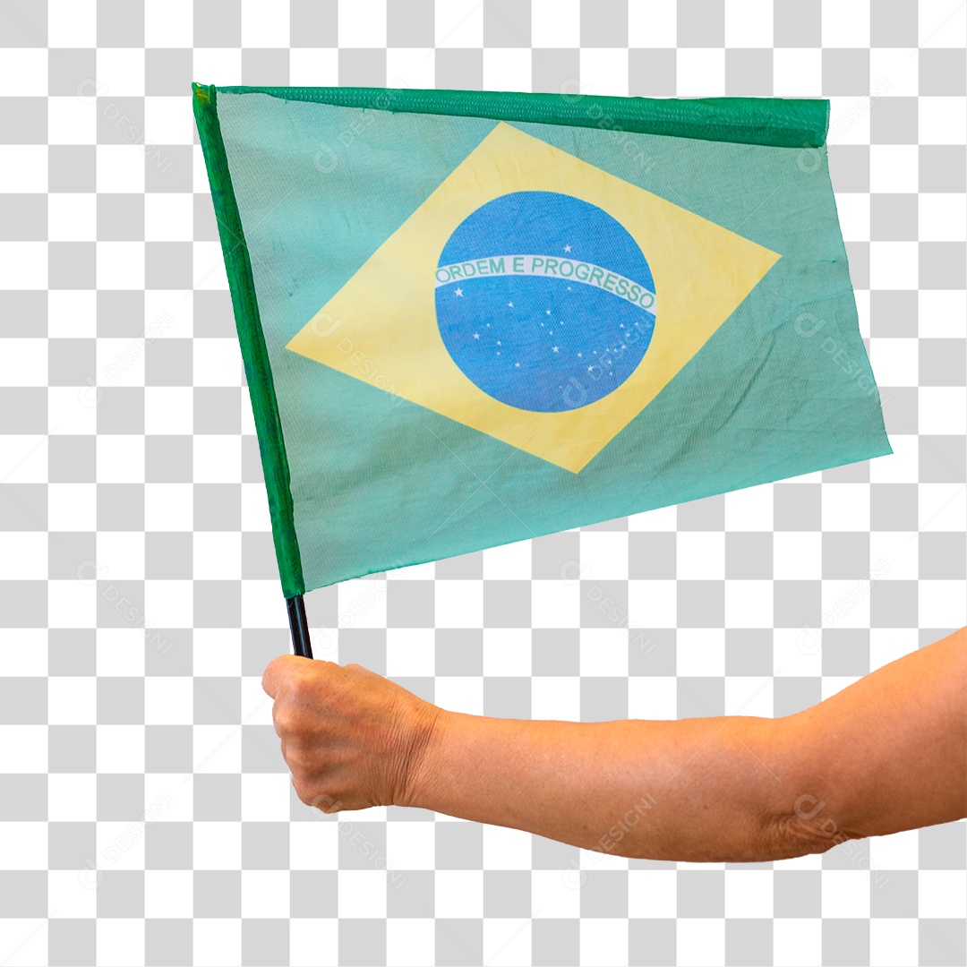 Segurando a Bandeira do Brasil Dia da Independência do Brasil PNG Transparente