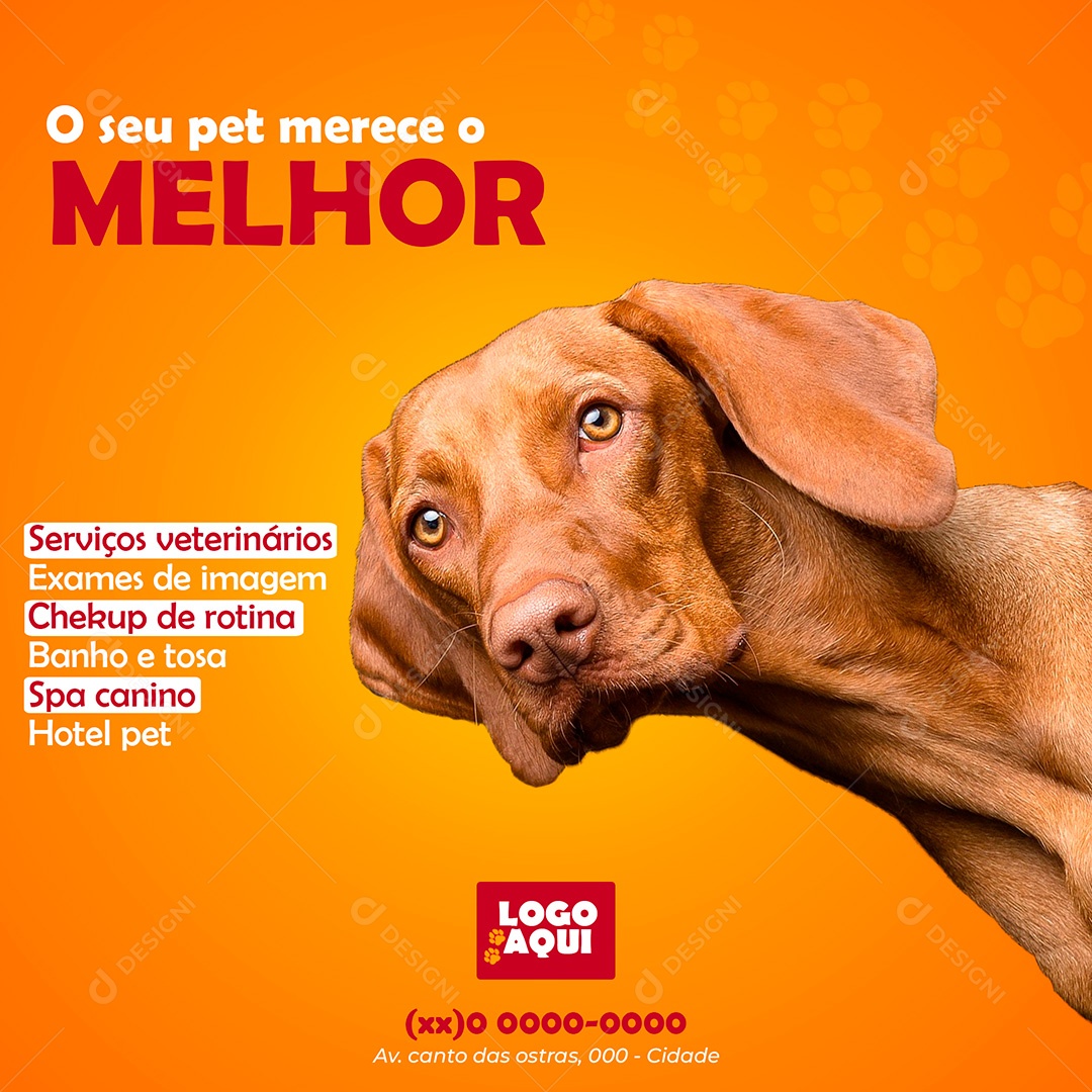 Post O Seu Pet Merece O Melhor Social Media PSD Editável