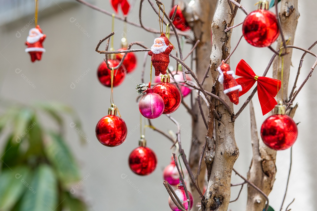 Enfeites de Natal em uma árvore ao ar livre no Rio de Janeiro.