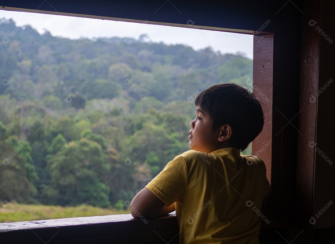 Menino observando a paisagem na janela