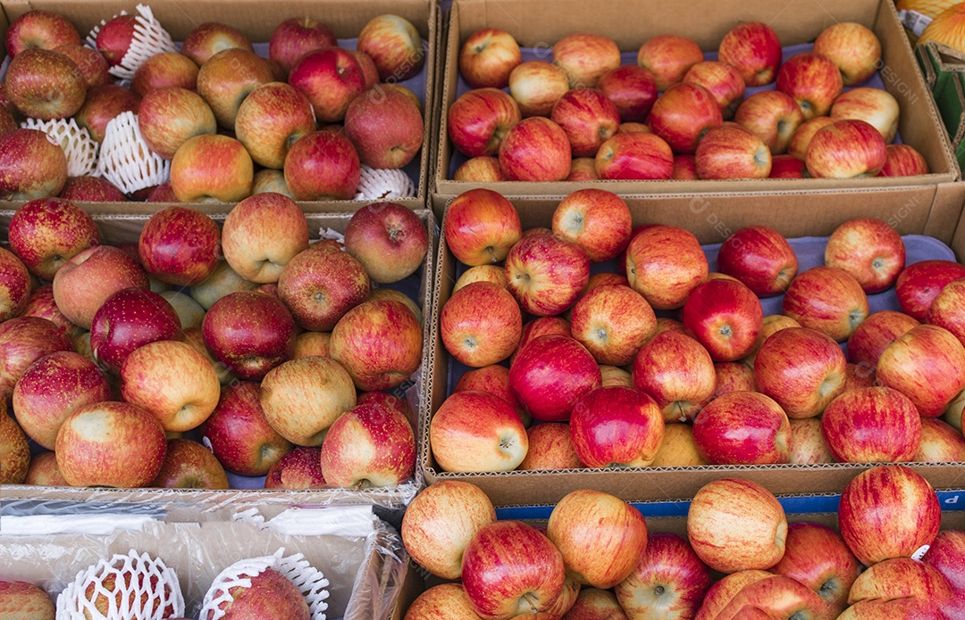 Tradicional Feira Livre Brasileira.