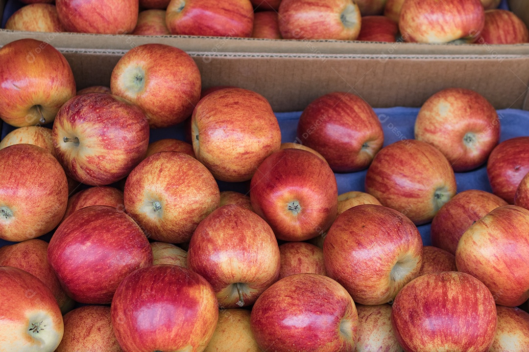 Tradicional Feira Livre Brasileira.