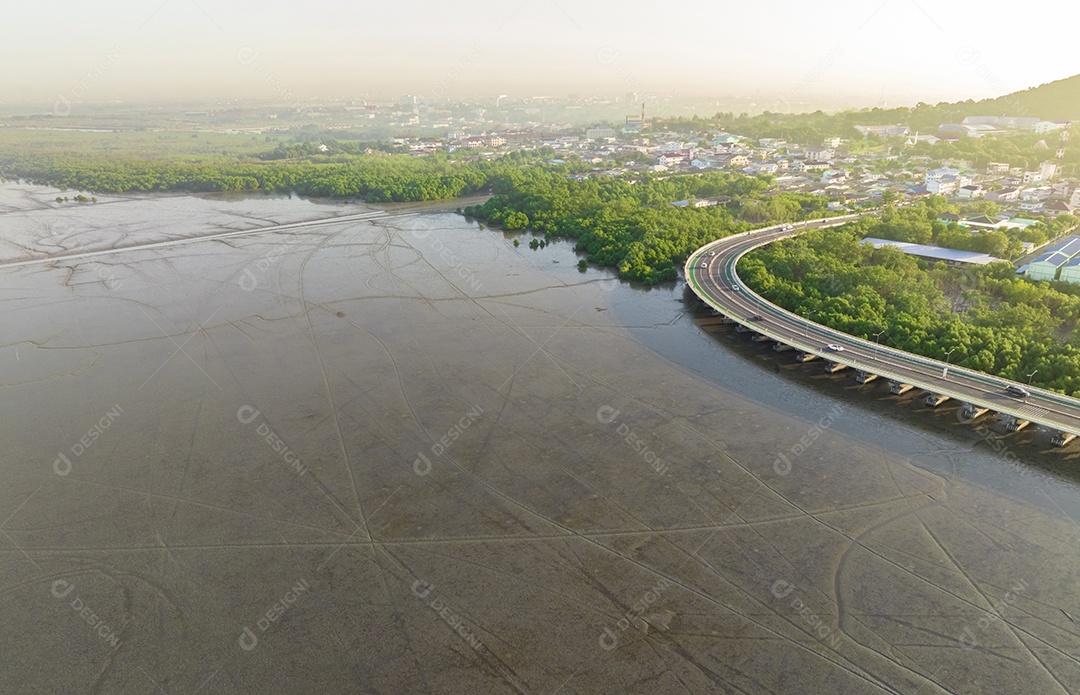 Vista aérea do lodaçal, da floresta de mangue e da cidade sustentável