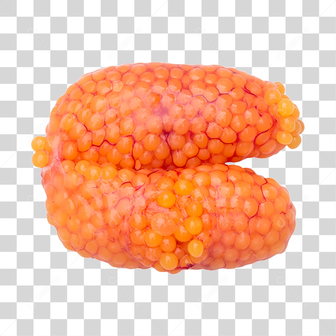 Ovos de Peixe PNG Transparente