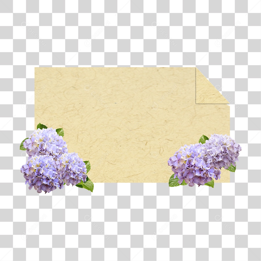 Flor Hortênsia Branca PNG Transparente