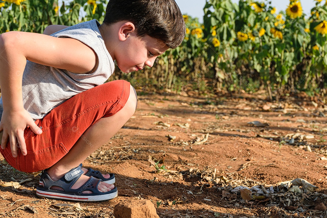 Criança brasileira de 8 anos brincando na areia agachada