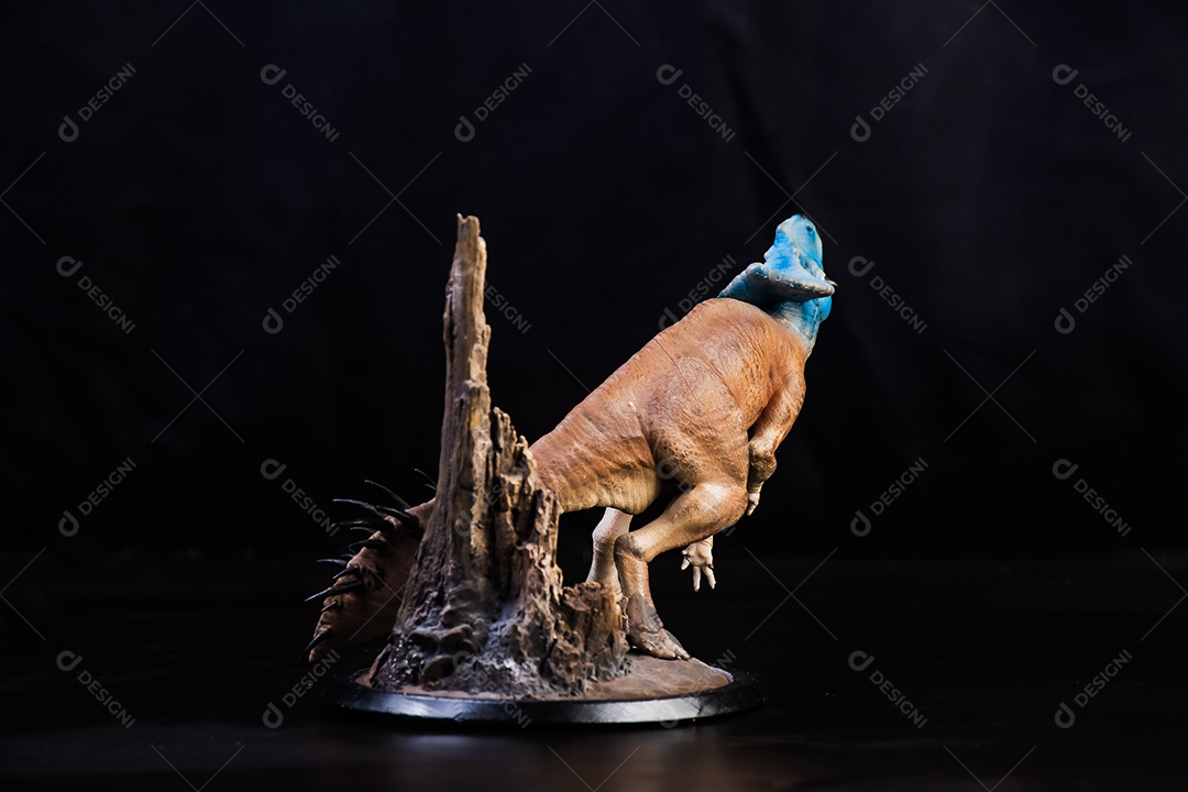 Protoceratops, dinossauro no fundo isolado