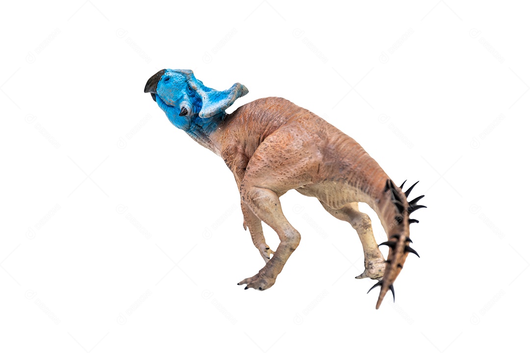 Protoceratops, dinossauro no fundo isolado