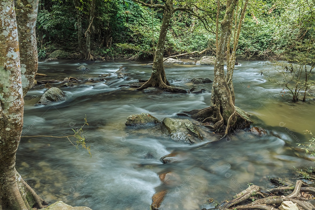 Paisagem de um pequeno riacho no parque nacional klong Lan da Tailândia