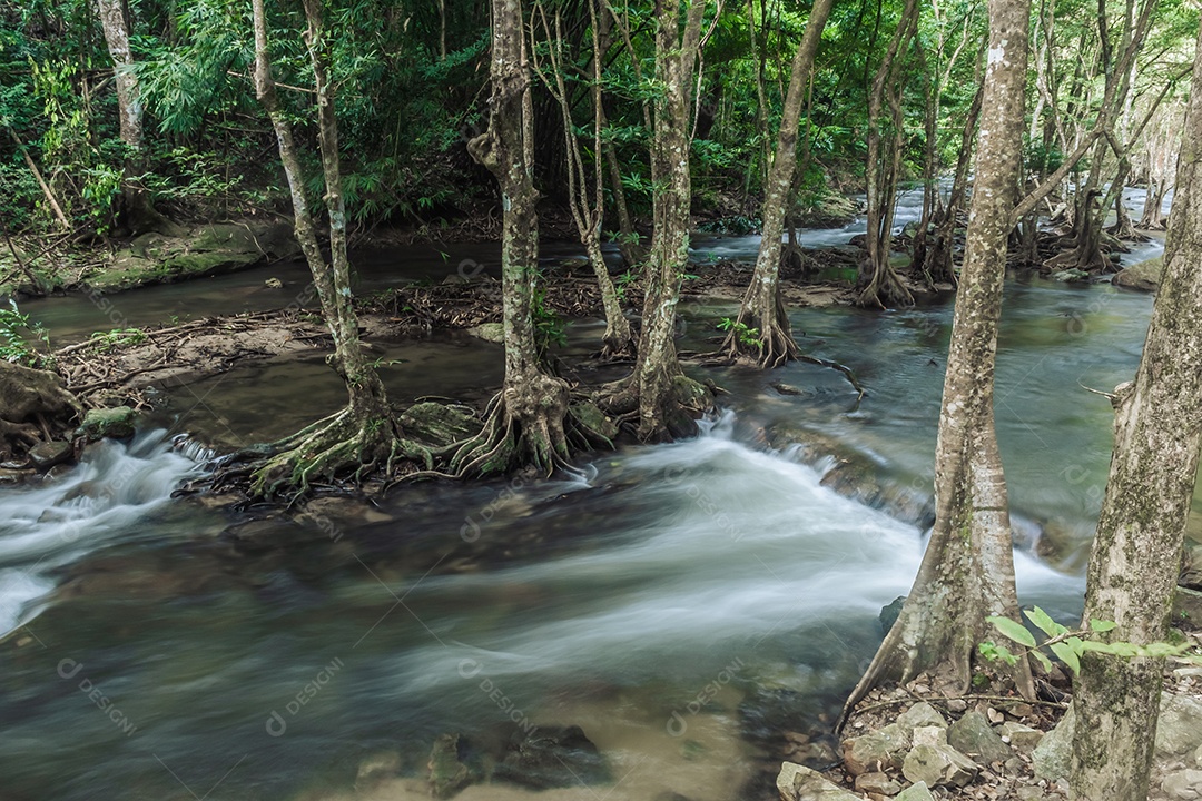 Paisagem de um pequeno riacho no parque nacional klong Lan da Tailândia