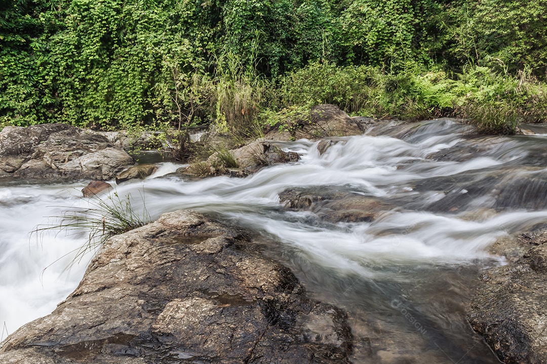 Paisagem de um pequeno riacho no parque nacional klong Lan da Tailândia