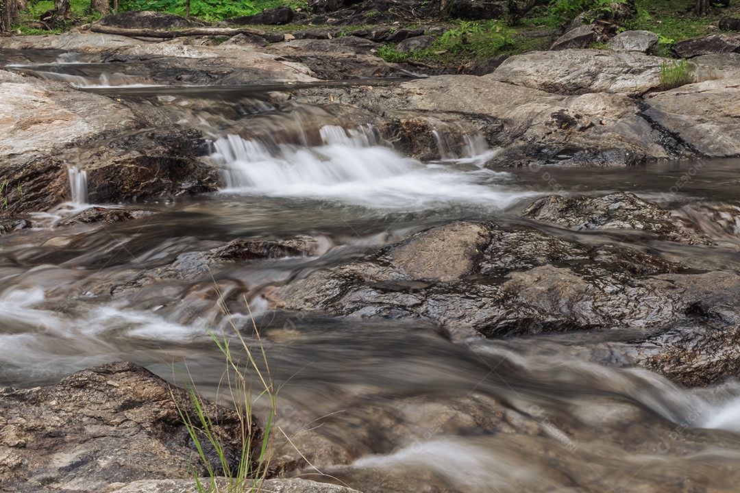 Paisagem de um pequeno riacho no parque nacional klong Lan da Tailândia