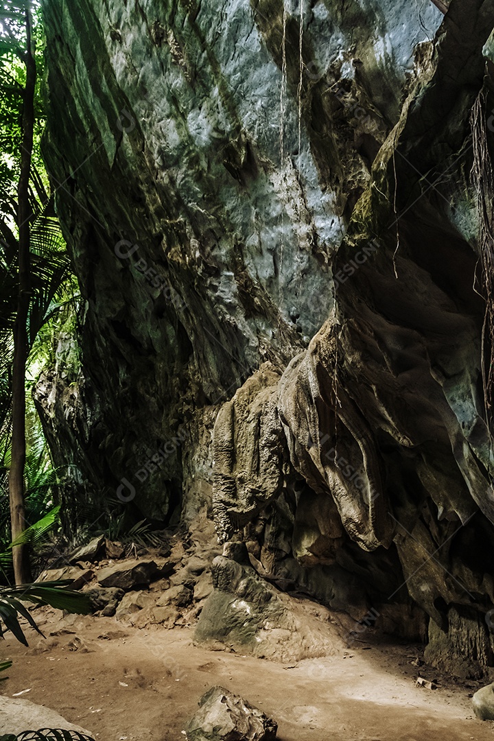 Paisagem da caverna e da árvore Hup Pa Tat, Uthai Thani, Tailândia