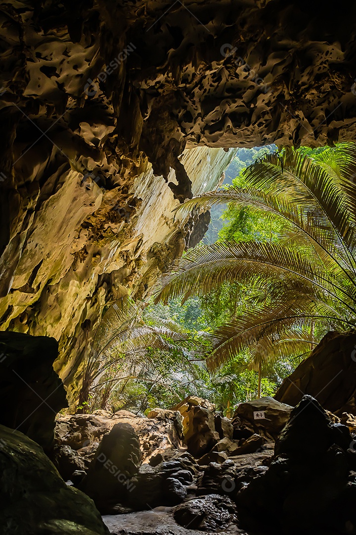 Paisagem da caverna e da árvore Hup Pa Tat, Uthai Thani, Tailândia