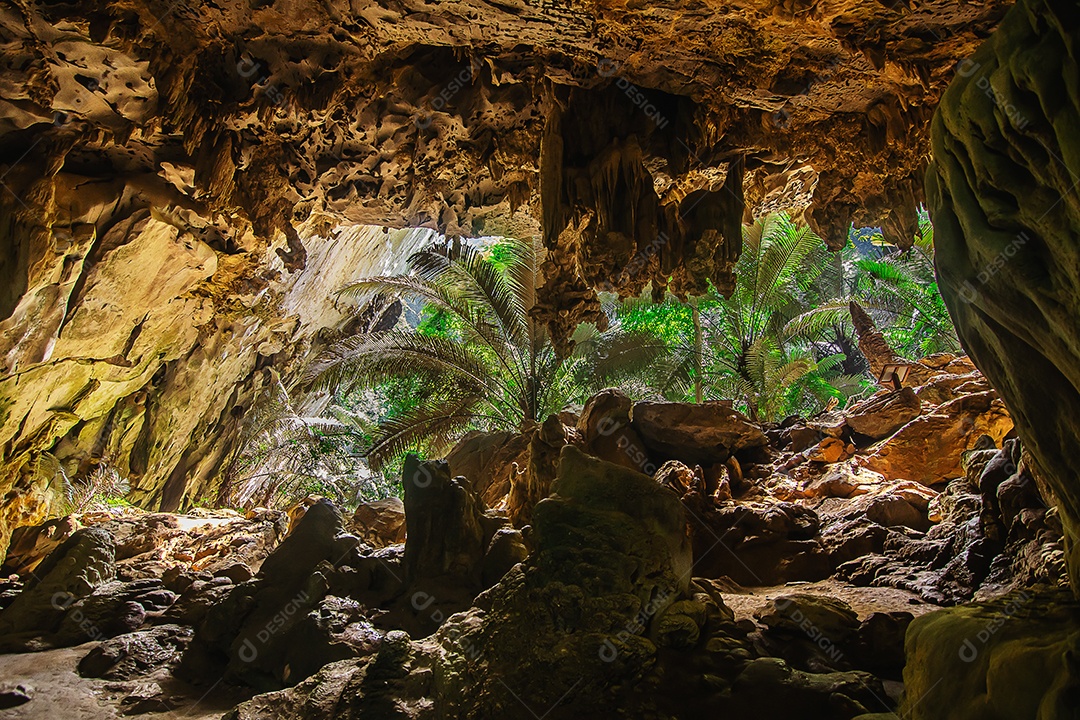 Paisagem da caverna e da árvore Hup Pa Tat, Uthai Thani, Tailândia