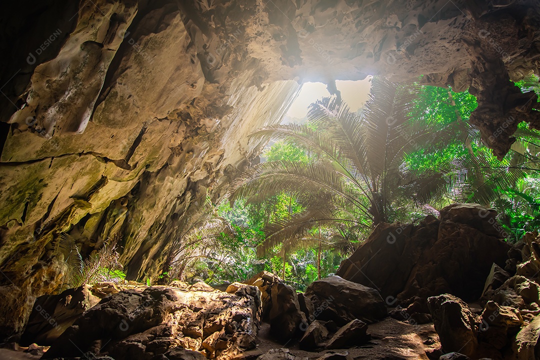 Paisagem da caverna e da árvore Hup Pa Tat, Uthai Thani, Tailândia