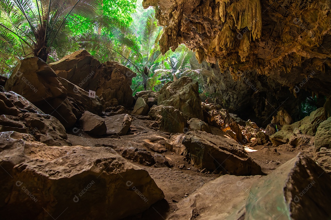 Paisagem da caverna e da árvore Hup Pa Tat, Uthai Thani, Tailândia